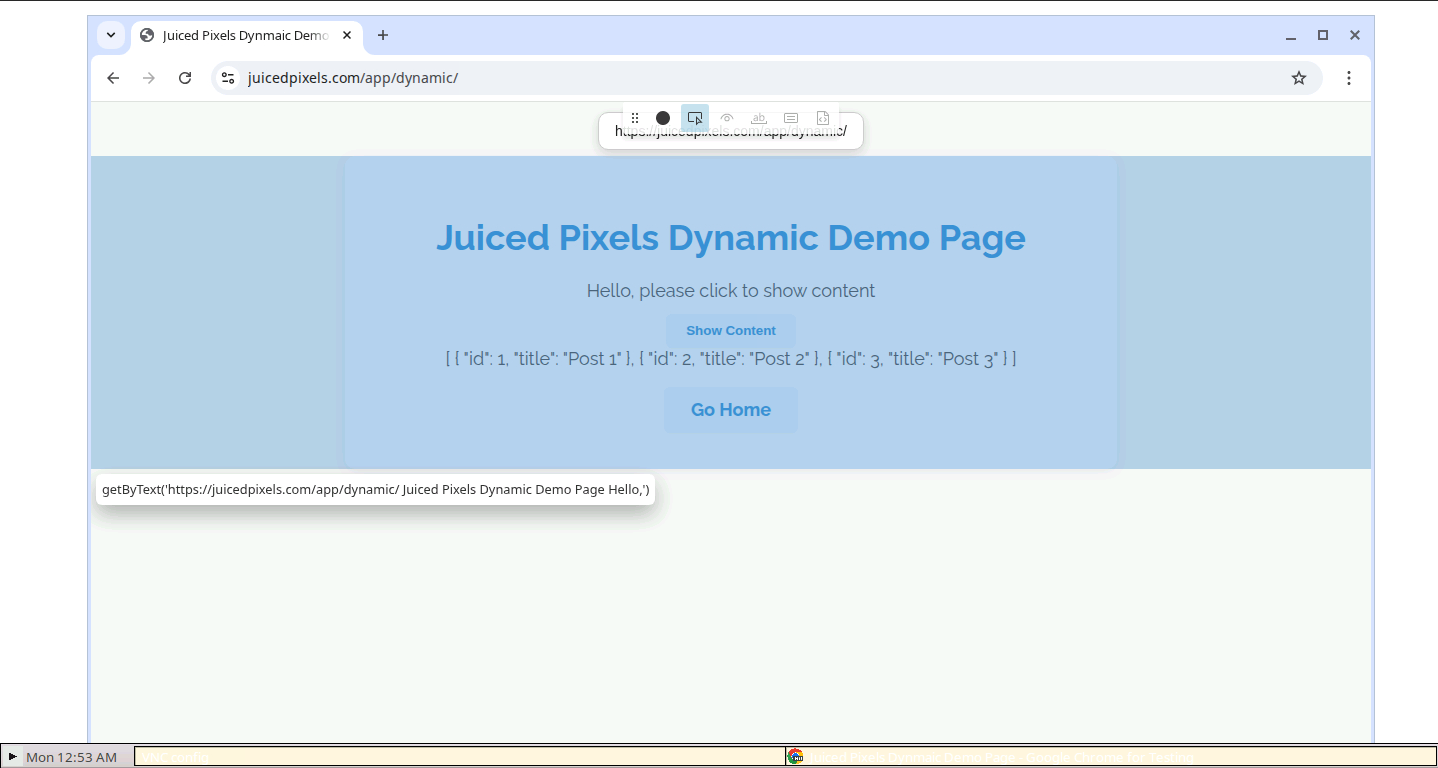 Codespaces VNC Viewer